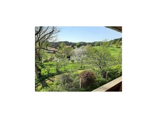Apartment Viechtach Außenaufnahme 8