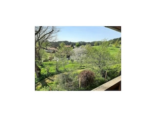 Appartement Viechtach Buitenaudio-opname 8