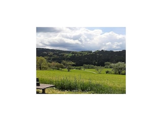 Appartement Viechtach Buitenaudio-opname 6
