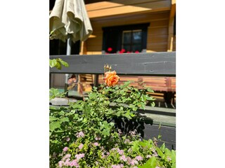 Ferienhaus Ulricehamn Außenaufnahme 3