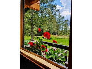 Aussicht in den Garten