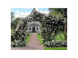 Rosarium in Jönköping