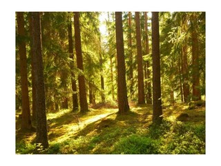 zahlreiche Wanderwege