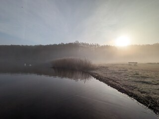 Morgens am Plauer See nur 400m vom Haus entfernt