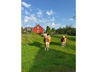 Landhaus Ulricehamn Außenaufnahme 3