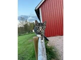 Landhaus Ulricehamn Außenaufnahme 4