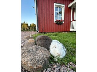 Landhaus Ulricehamn Außenaufnahme 5