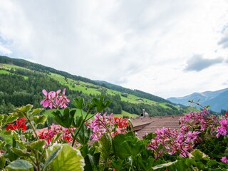 Blick vom Balkon