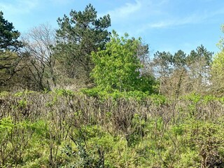 Ausblick von der Terrasse