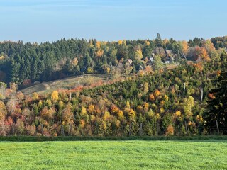 Blick auf das Haus von der Eifel