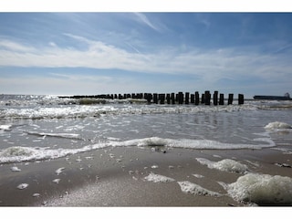 Vakantiehuis Dishoek Omgeving 31
