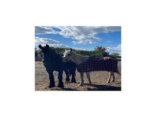 Casa per le vacanze Lubin  28