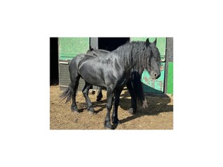 Casa per le vacanze Lubin  31