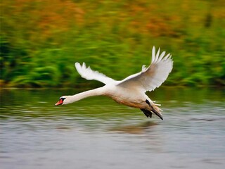 Ferienhaus Sarbinowo  25