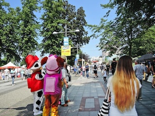 Ferienpark Misdroy Umgebung 30