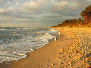 Parc de vacances Podamirowo Environnement 24