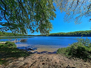 Wolgastsee - wunderschönes Ausflugsziel im Hinterland und gut mit dem Fahrrad von Reetzow zu erre...