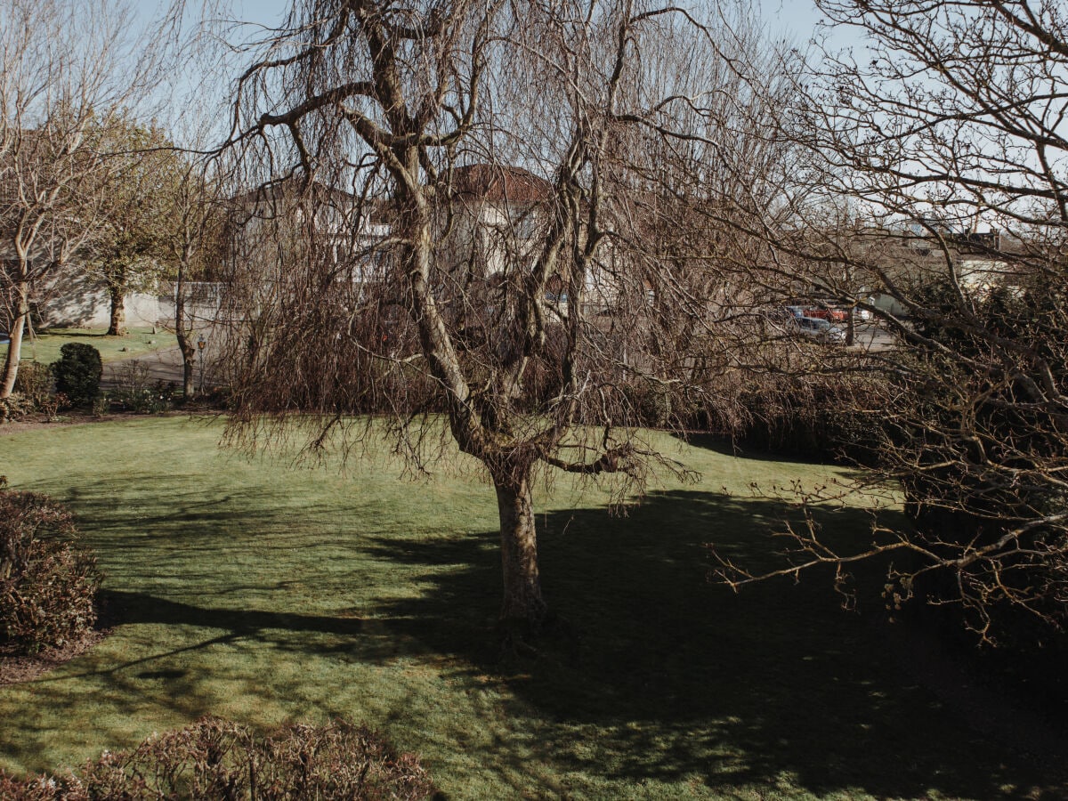 Garten im Frühjahr