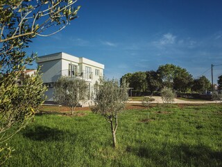 Ferienhaus Galižana Außenaufnahme 8