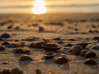 Holiday house Dishoek  38