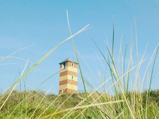 Ferienhaus Dishoek Umgebung 36