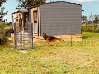 Holiday house Nowe Warpno Outdoor Recording 6