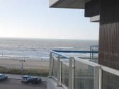 Holiday apartment Egmond aan Zee Outdoor Recording 1