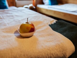 Maison de vacances Welt  33