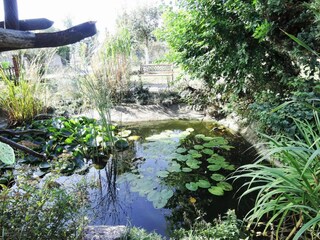 Parque de vacaciones Lubin Grabación al aire libre 6