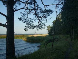 Ferienpark Lubin  24