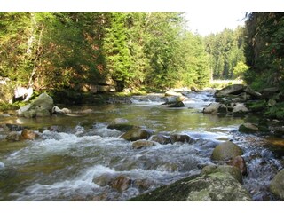 Appartamento Zlatá Olešnice Ambiente 17