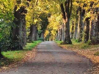 Apartment Marienmünster Umgebung 22