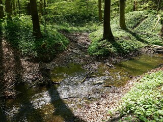 Ferienhaus Hasselfelde  21