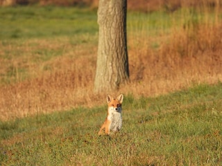 Casa de vacaciones Hasselfelde Entorno 21