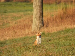 Maison de vacances Hasselfelde Environnement 21