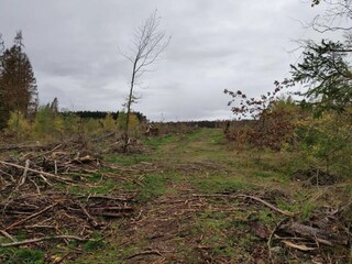 Holiday house Hasselfelde Environment 18