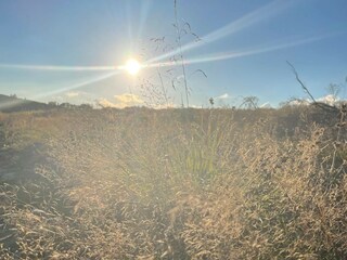 Holiday house Hasselfelde Environment 20