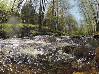 Ferienhaus Hasselfelde Umgebung 12