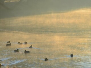 Holiday house Hasselfelde Environment 13