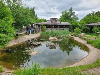 Vakantiehuis Hasselfelde Omgeving 25