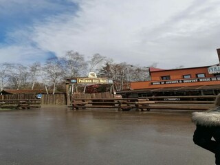 Vakantiehuis Hasselfelde Omgeving 15