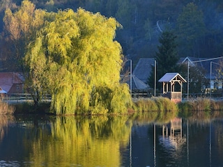 Maison de vacances Hasselfelde Environnement 32