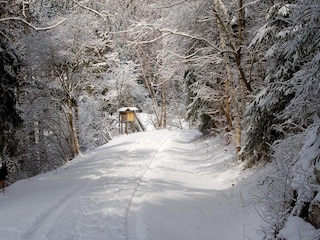 Ferienhaus Hasselfelde Umgebung 16