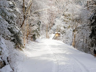 Casa per le vacanze Hasselfelde Ambiente 14
