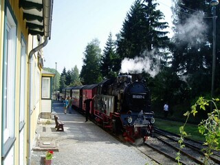 Casa per le vacanze Hasselfelde Ambiente 16