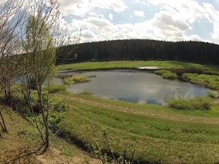 Maison de vacances Hasselfelde Environnement 16