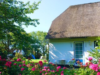 Ferienwohnung Witsum Ausstattung 14