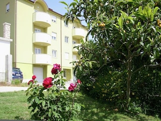 Apartment Premantura Außenaufnahme 2