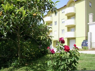 Apartment Premantura Ausstattung 14