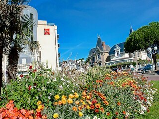 Apartment Premantura Umgebung 12